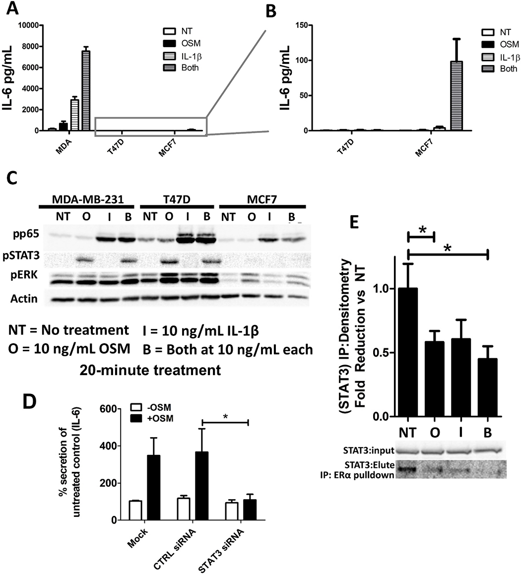 OSM and IL-1β activate separate signaling pathways and synergistically induce IL-6 secretion