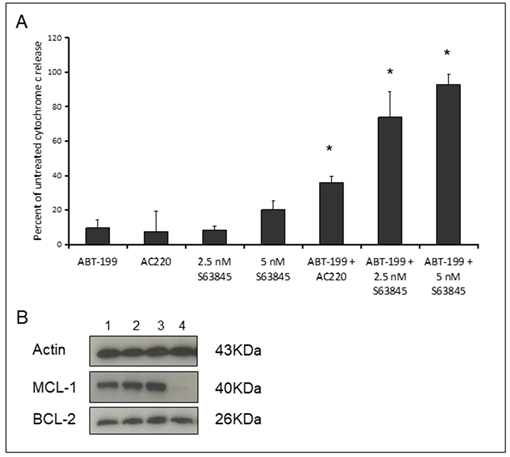 Co-operative induction of apoptosis with the combination of Venetoclax and S63845