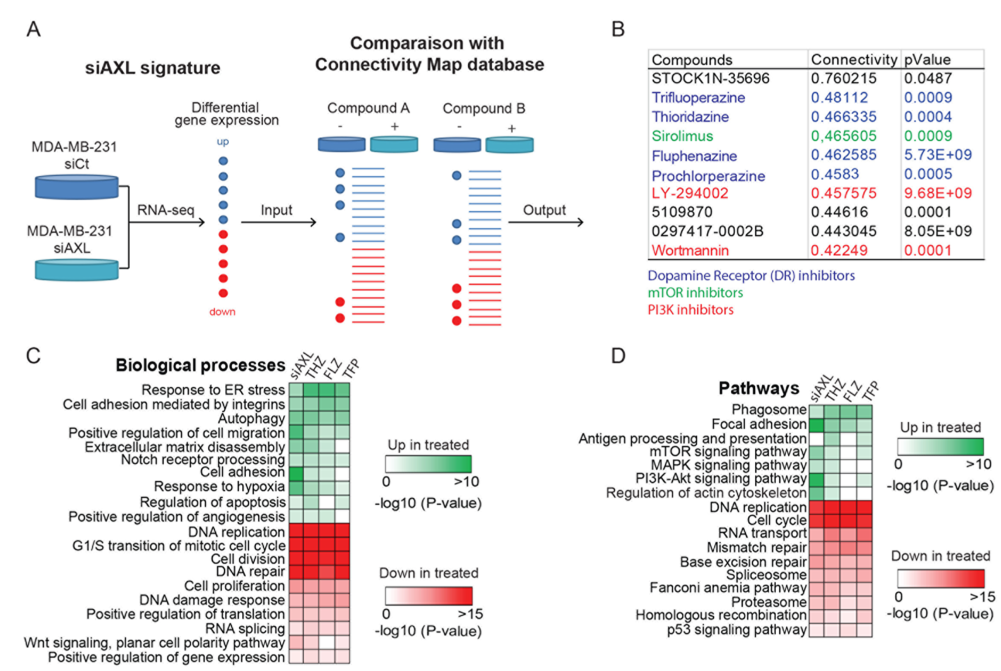 AXL knockdown gene expression signature in MDA-MB-231 is similar to the signature of a class of antipsychotics.