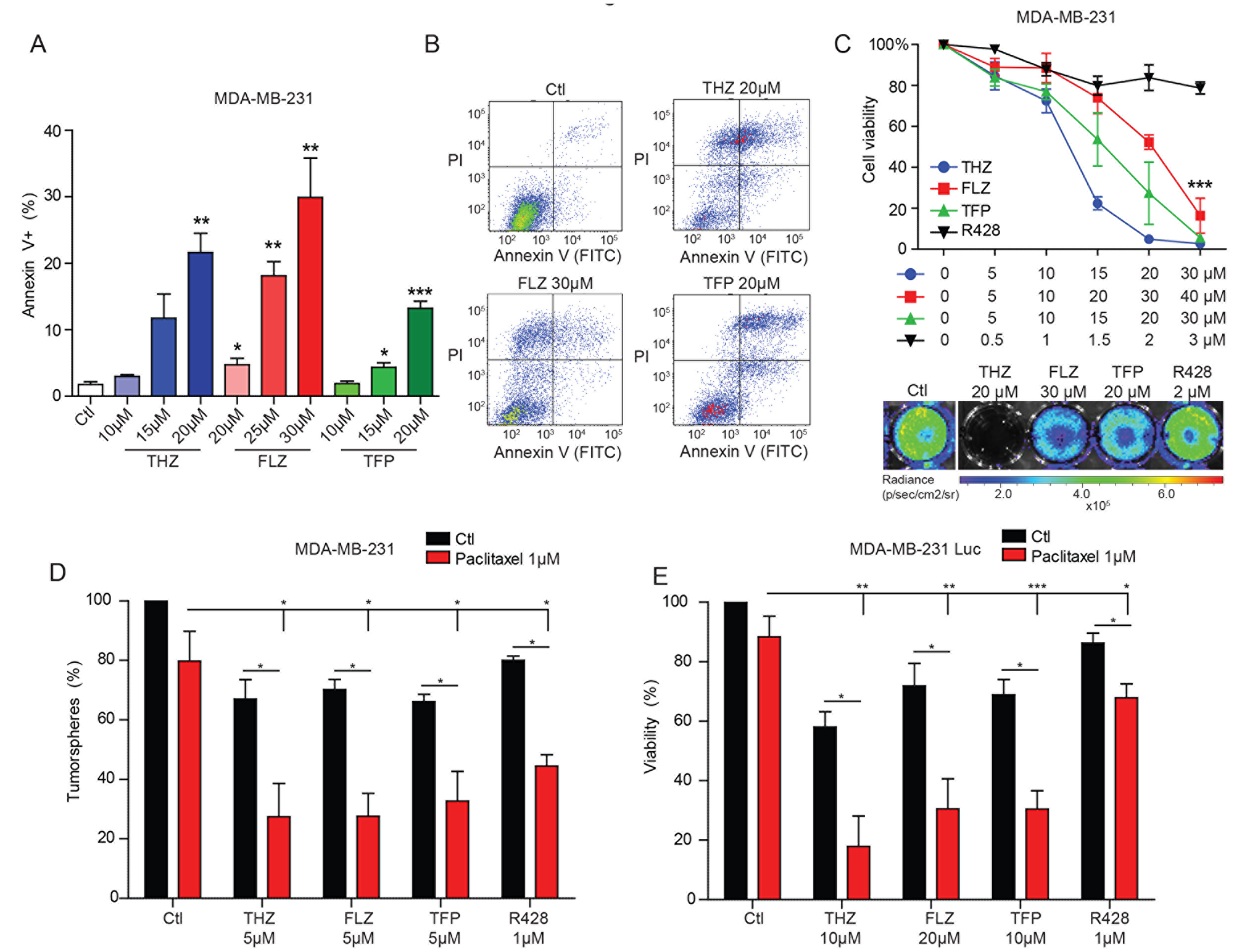 THZ, FLZ and TFP exhibit cytotoxic effects on TNBC cells.