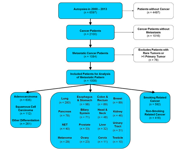 fig1