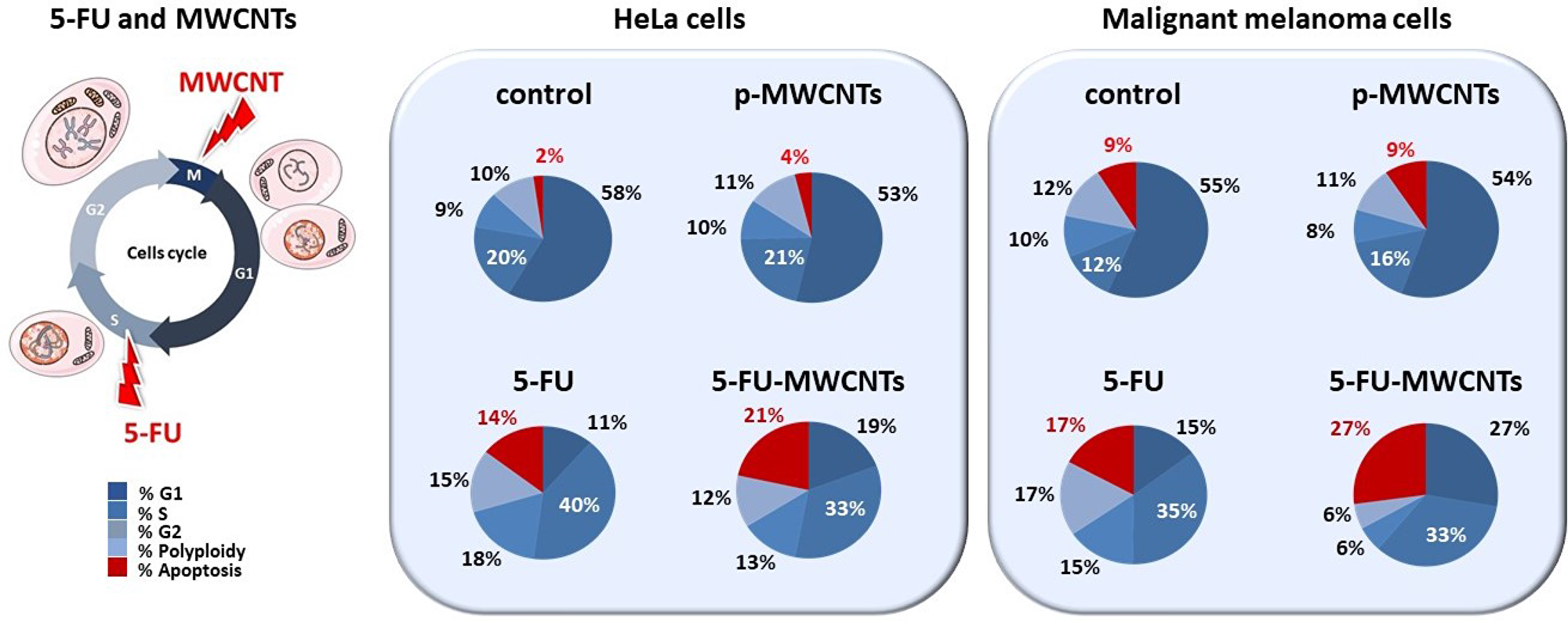 Quantification of the cytotoxic effect of 5-FU-MWCNTs compared to controls.