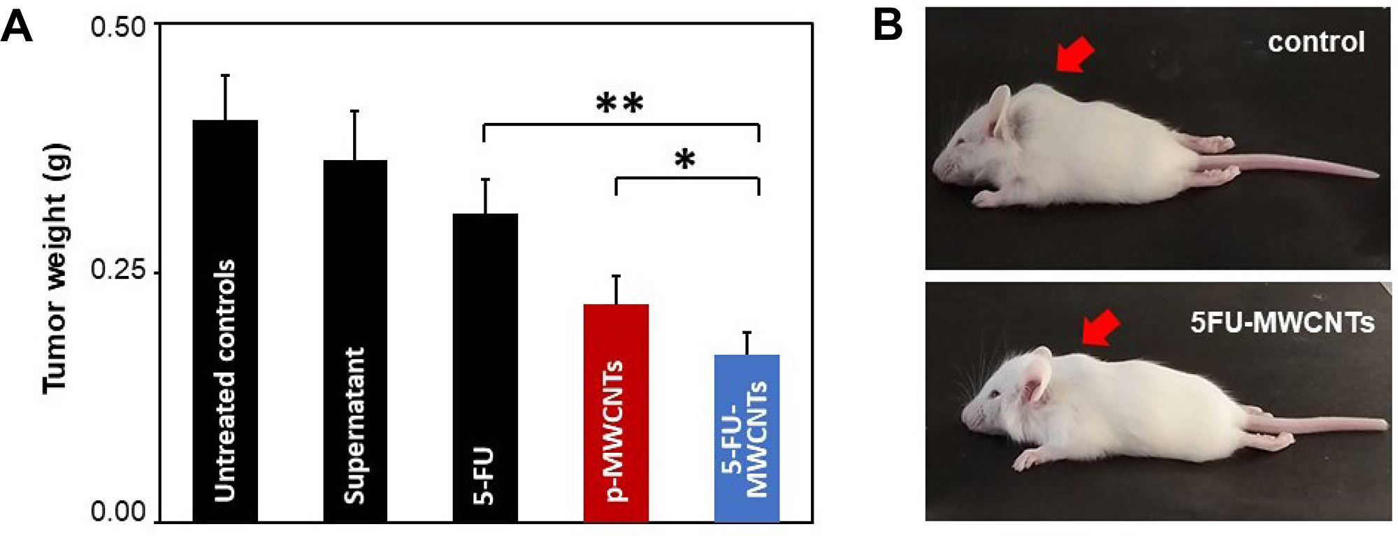In vivo 5-FU-MWCNTs effects in solid melanoma tumours.