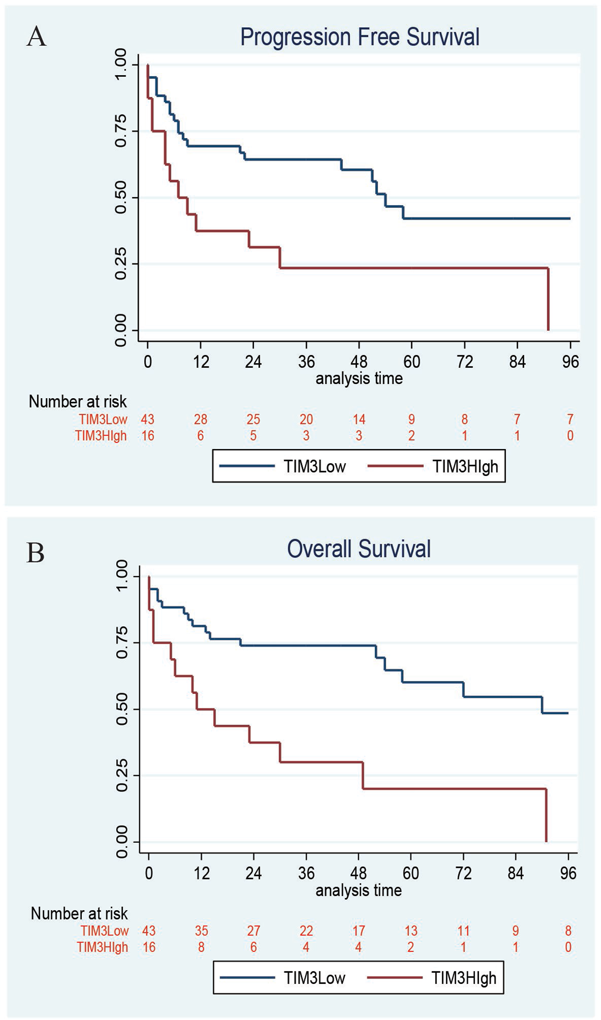 Kaplan–Meier survival.