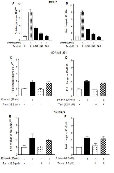 fig2