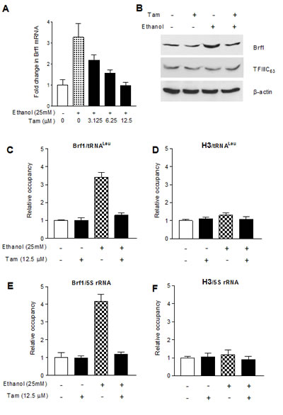 fig3