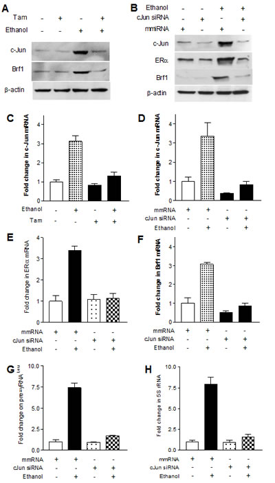 fig4