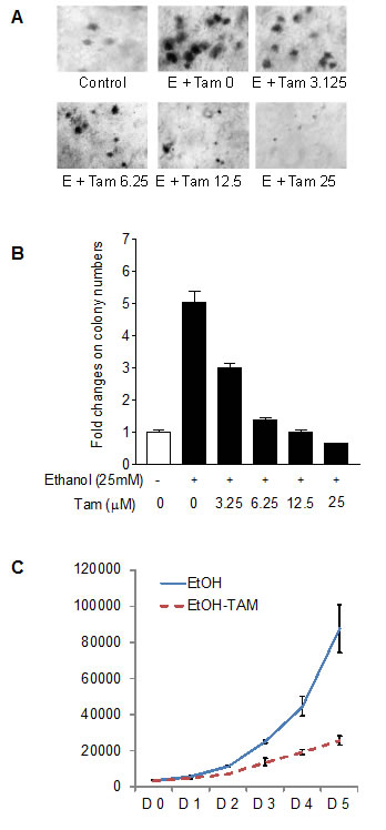 fig6