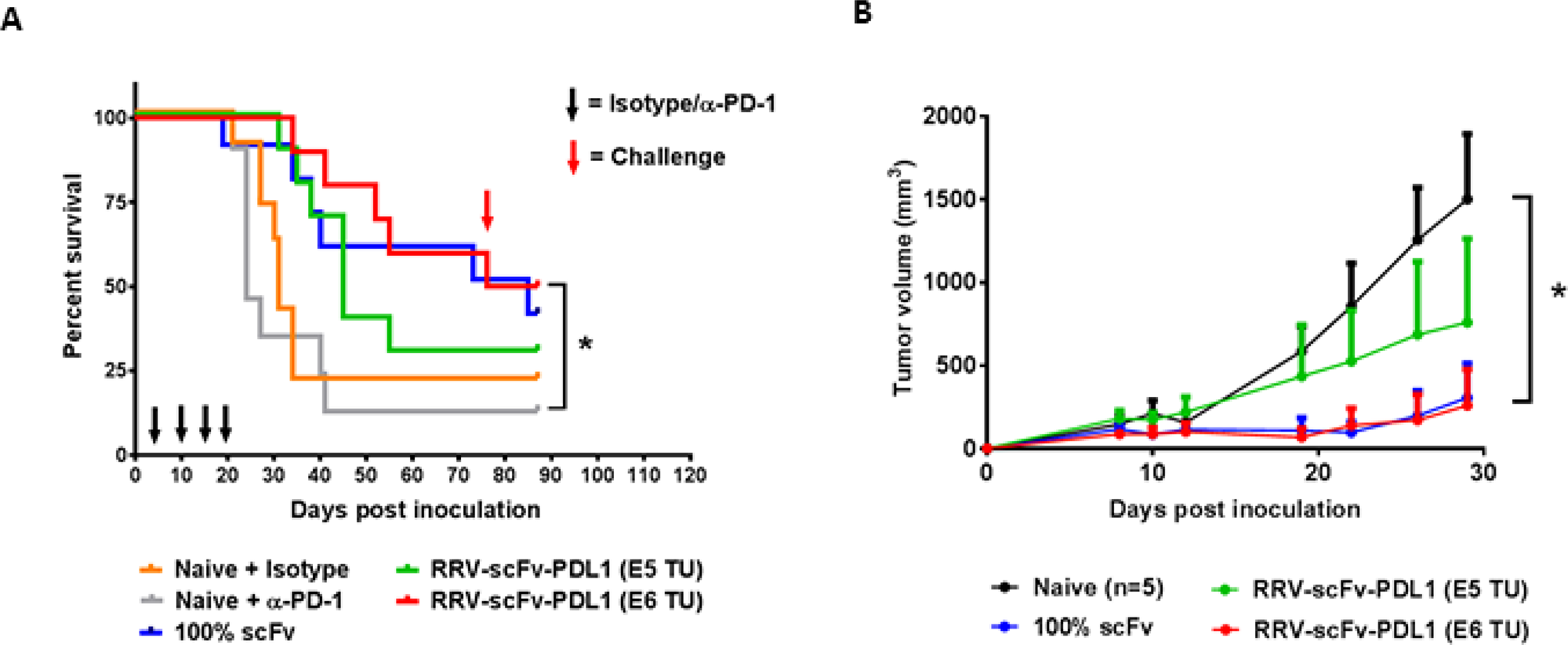 Orthotopic glioma model with intracranial injection of RRV-scFv-PDL1 demonstrates a dose-dependent anti-tumor activity.