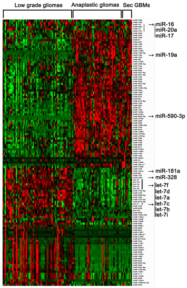 FIG1
