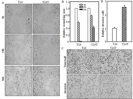 fig1