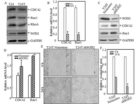 fig2