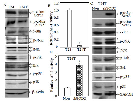 fig3