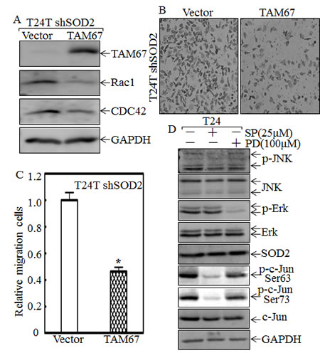 fig4