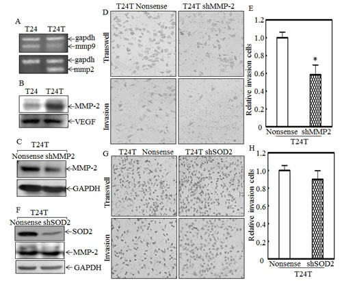 fig6