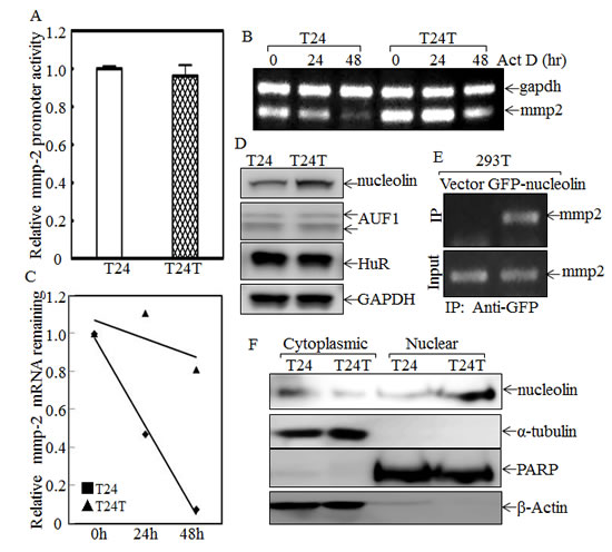fig7