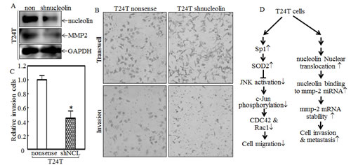 fig8