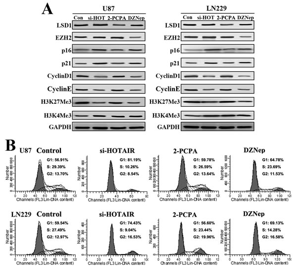 FIG2