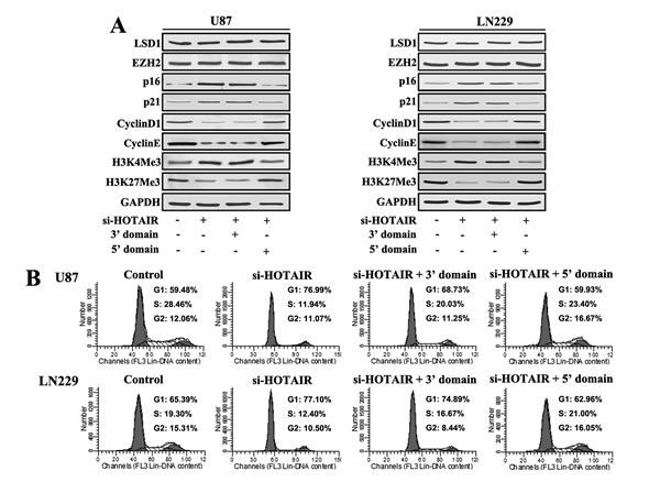 FIG4