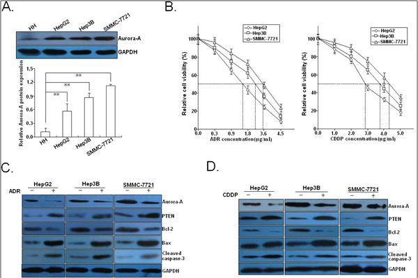 FIG2