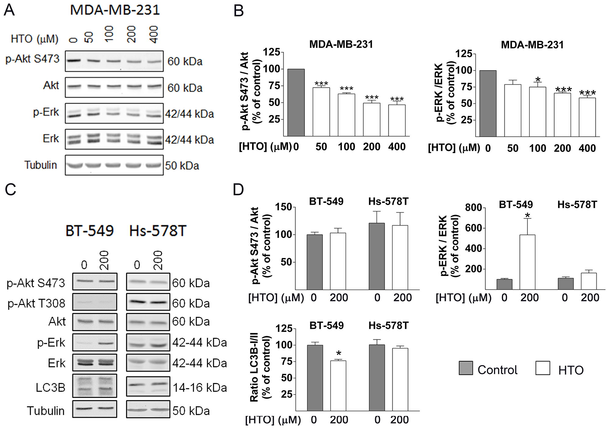 Effect of HTO on cell signaling.