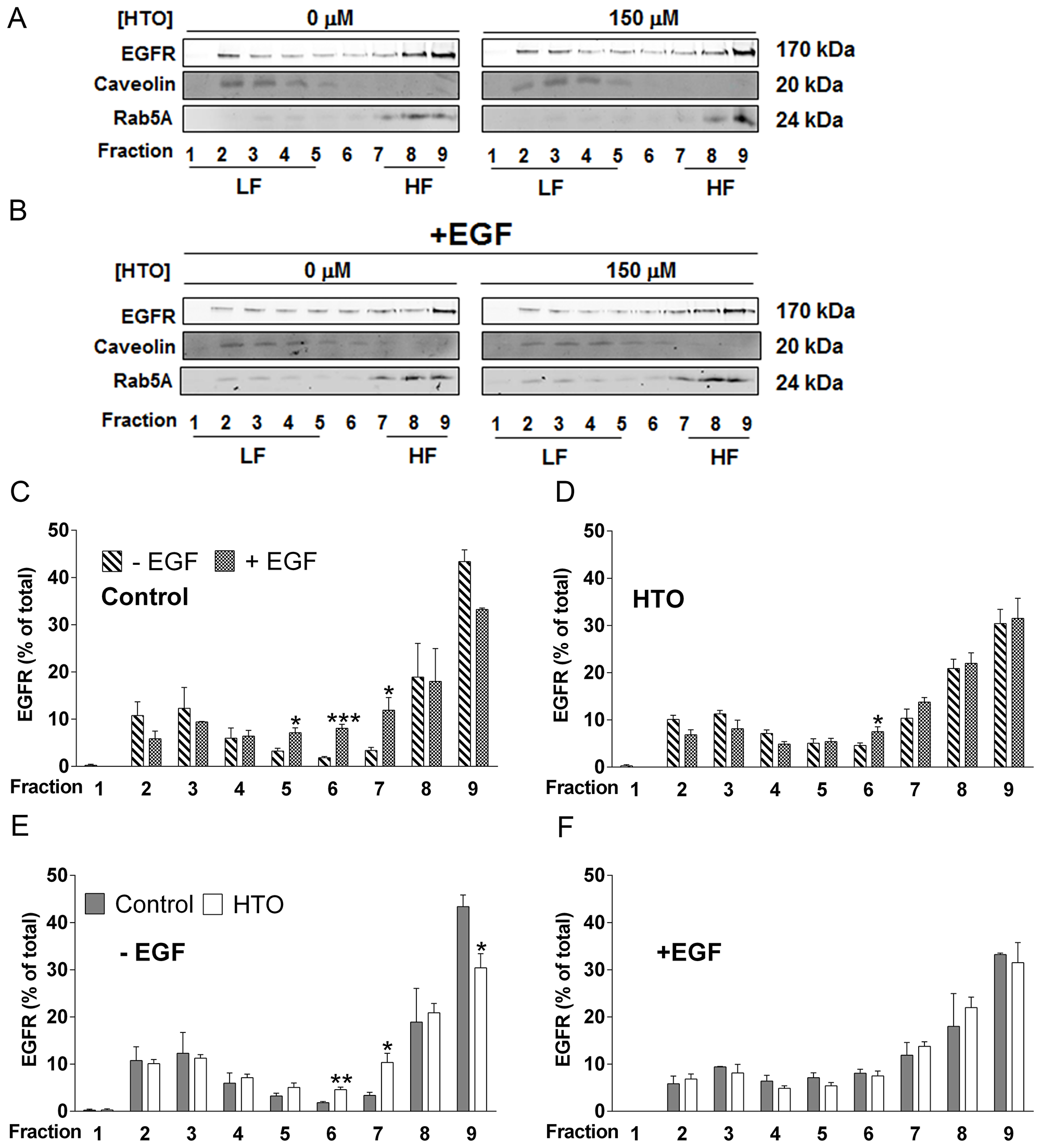 Effect of HTO on the membrane microdomain distribution of EGFR.