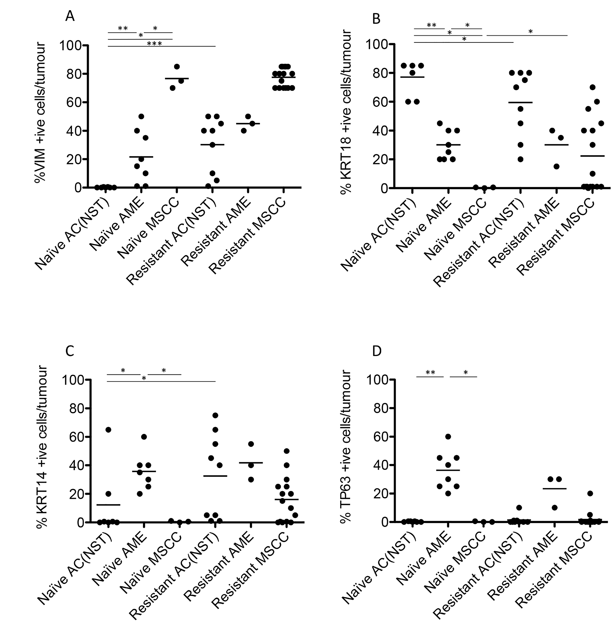 Quantitation of immunohistochemical staining in olaparib-naïve and olaparib-resistant BrcaS2/p53-mutant tumours.
