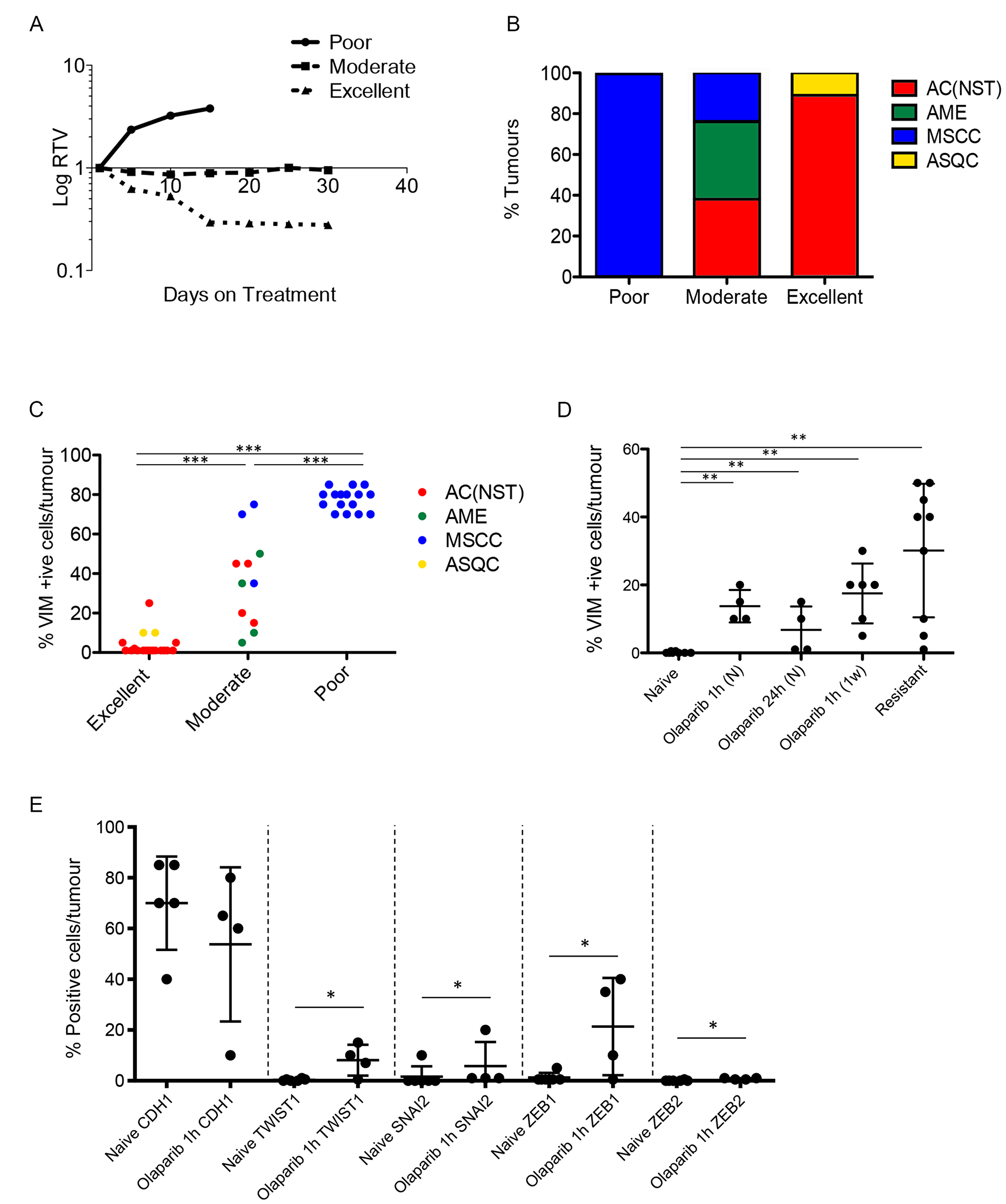 Olaparib response is correlated with tumour phenotype.