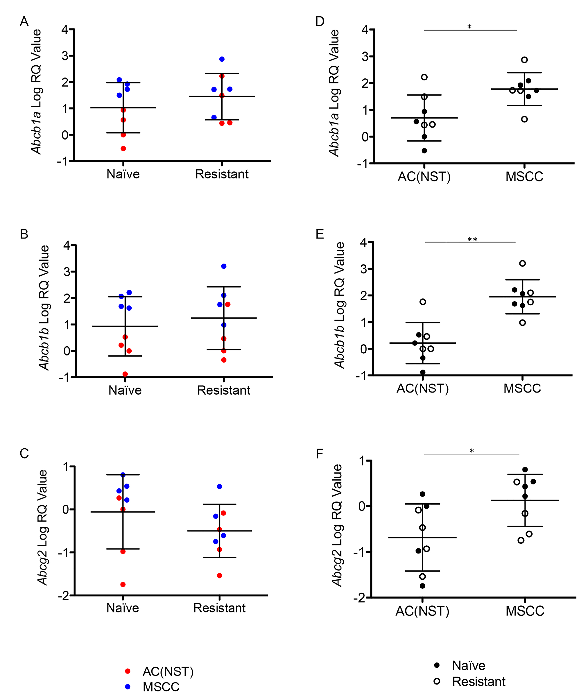Up-regulation of P-gps is correlated with tumour phenotype.