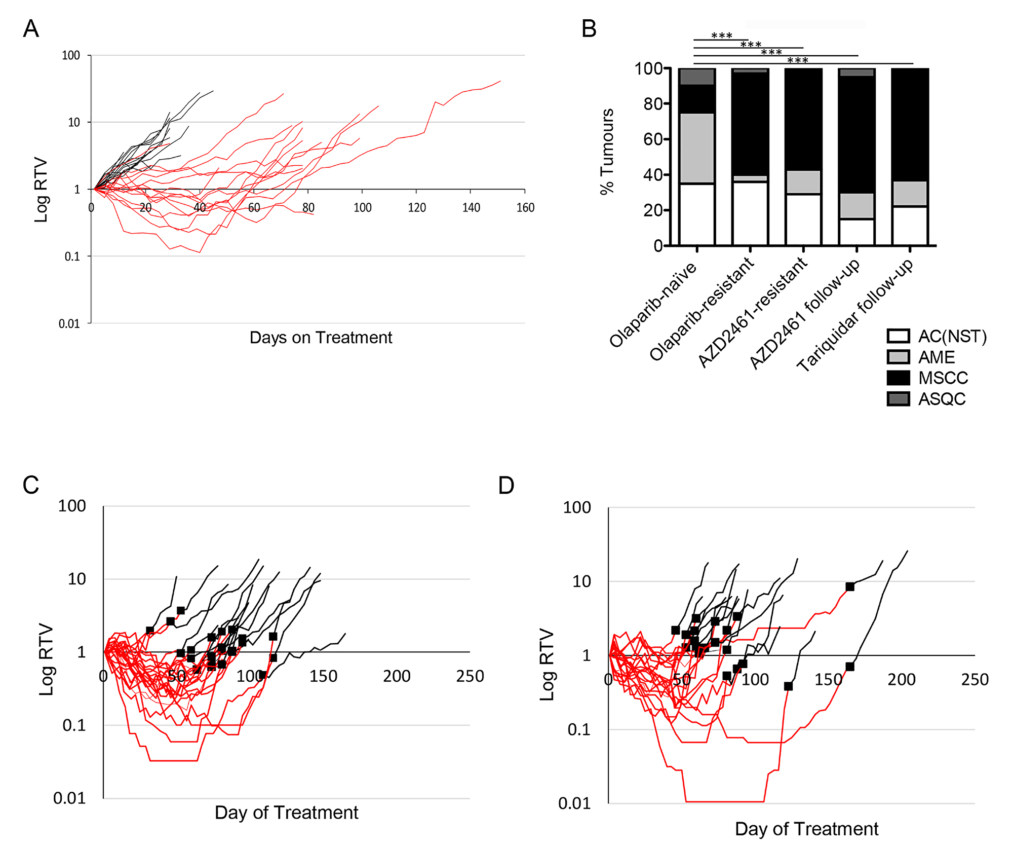 Brca2 mammary tumours acquire resistance to AZD2461.