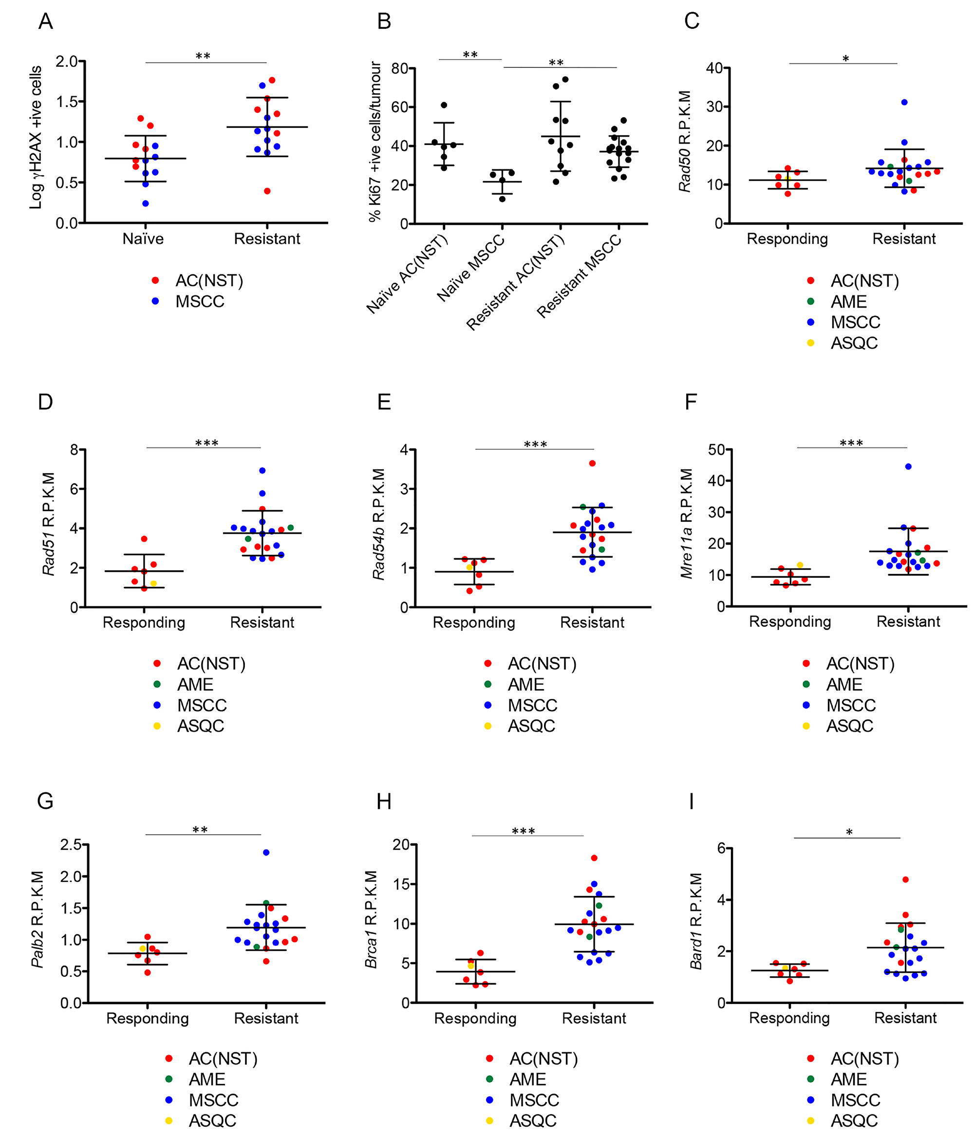 Olaparib-resistant tumours have DNA damage and show elevated expression of HR-associated genes.