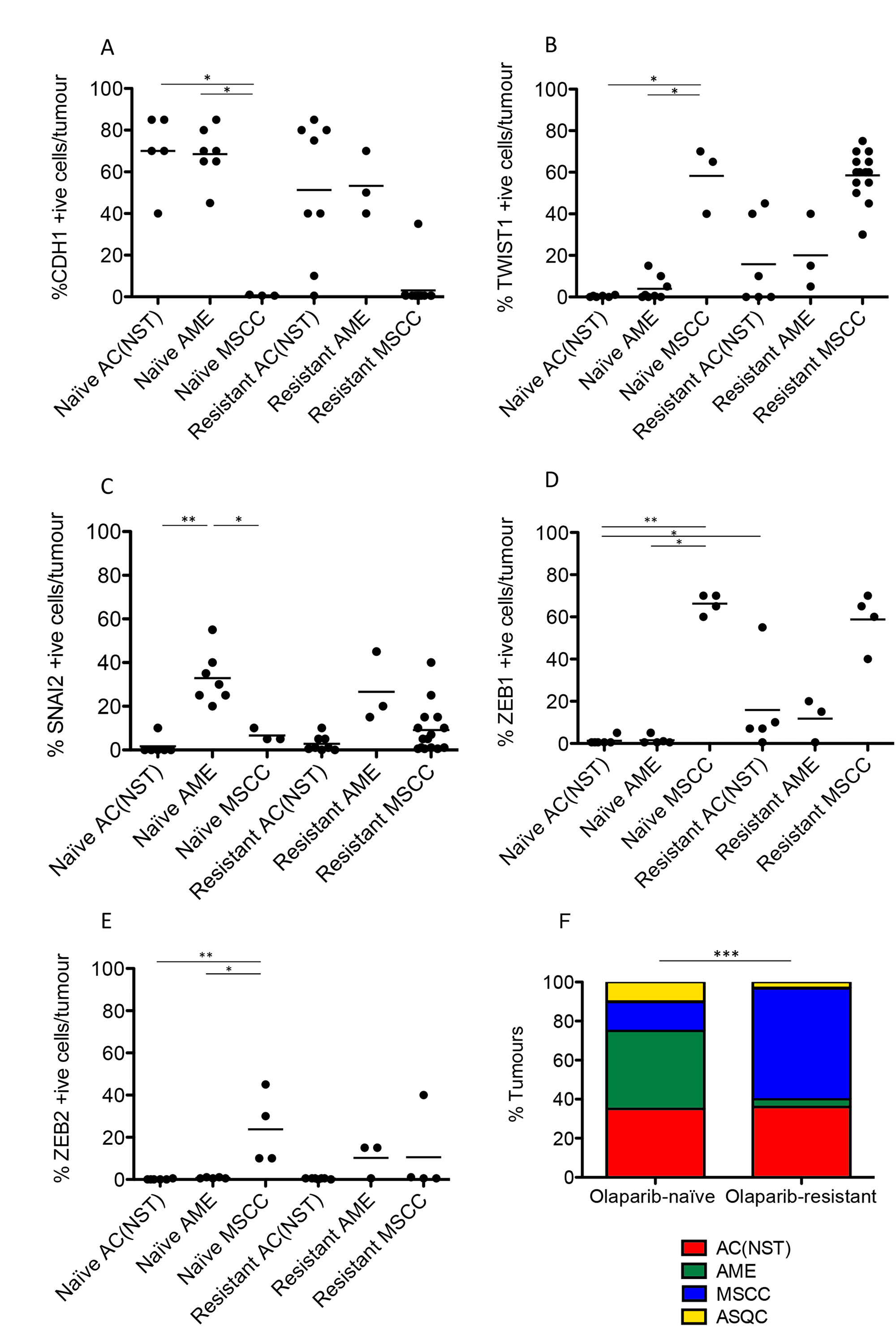Olaparib-resistant Brca2/p53-mutant tumours are enriched for an EMT histotype.
