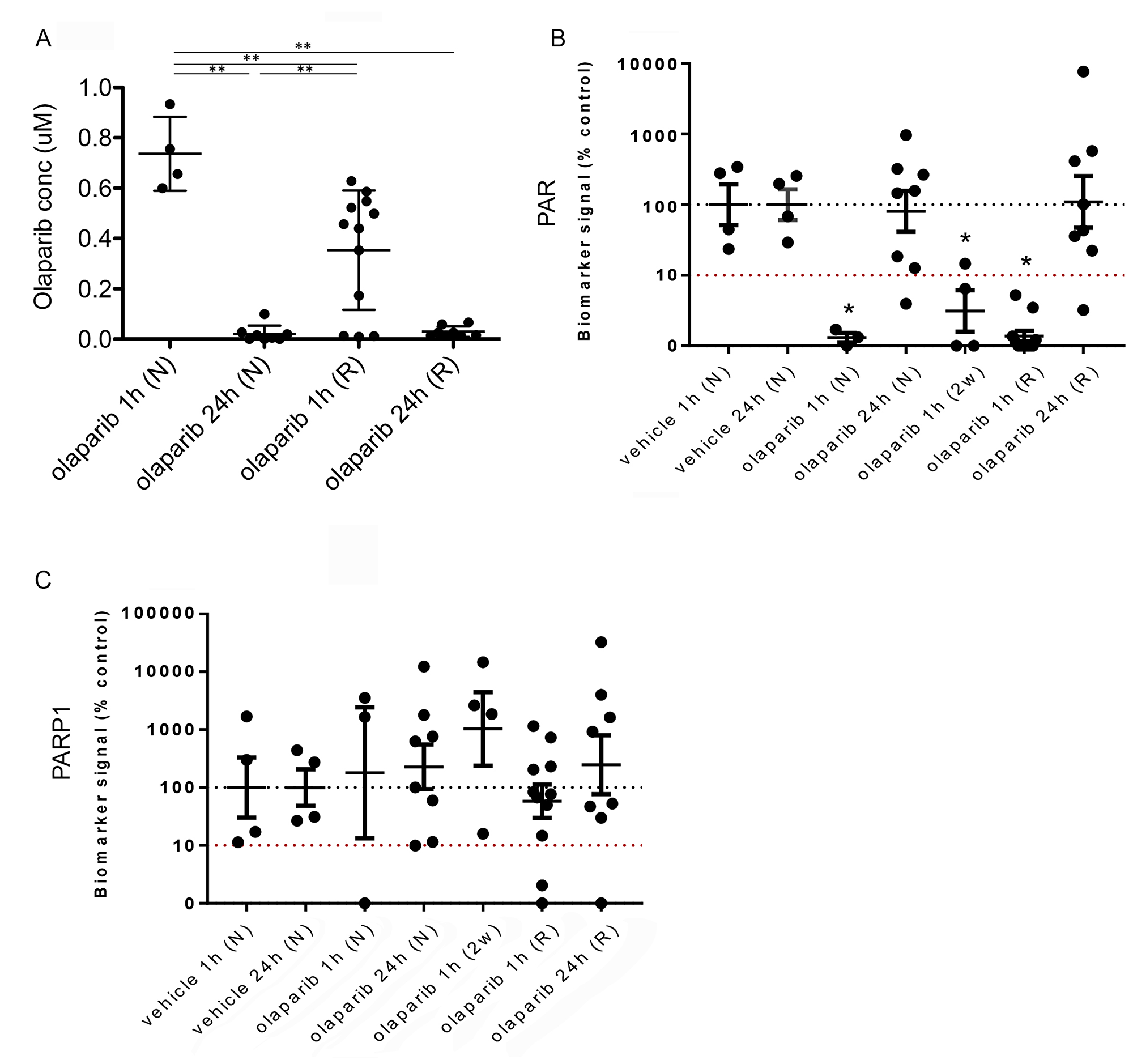 Reduced olaparib concentration in olaparib-resistant tumours does not correlate with increased PAR levels.