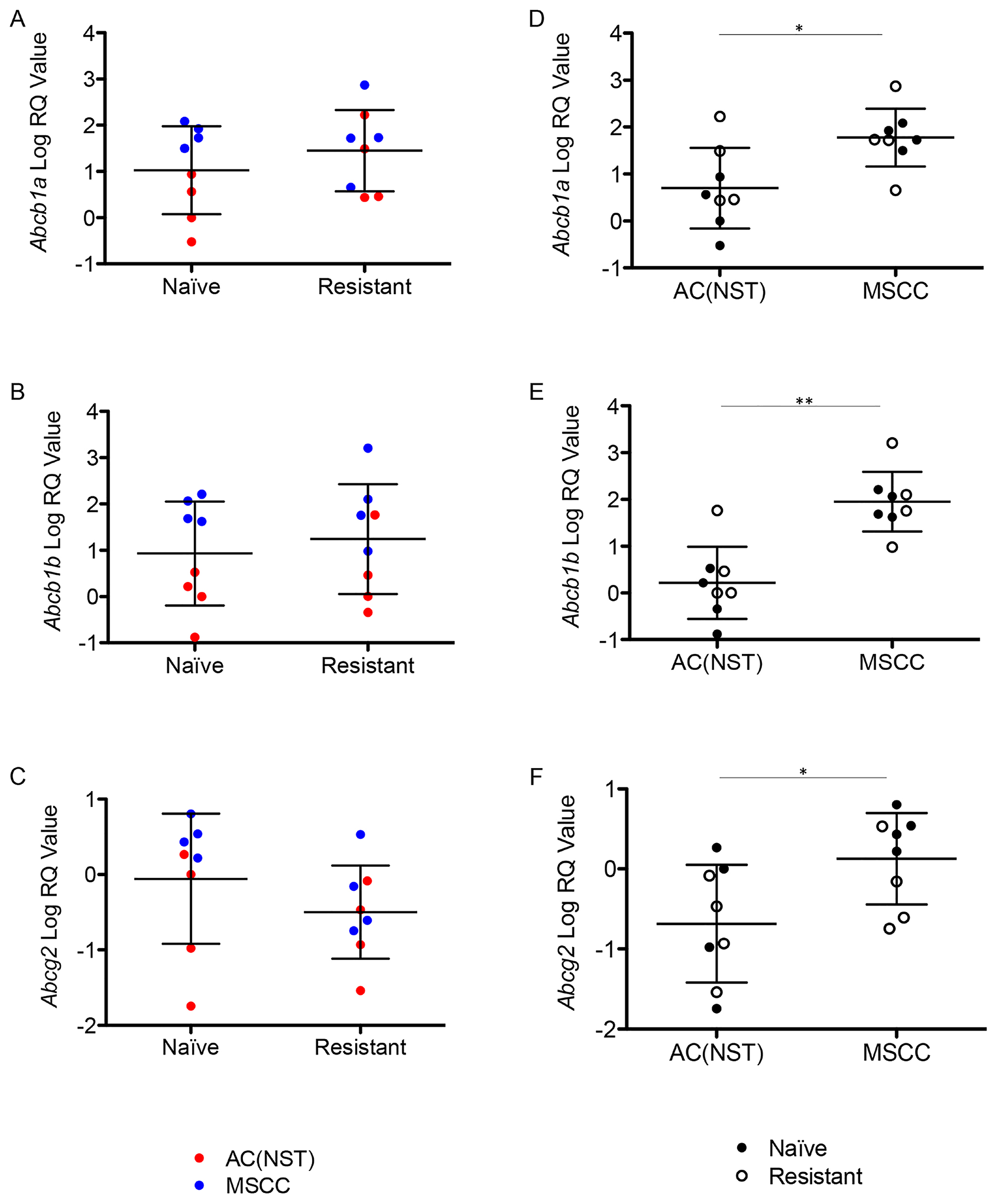 Up-regulation of P-gps is correlated with tumour phenotype.