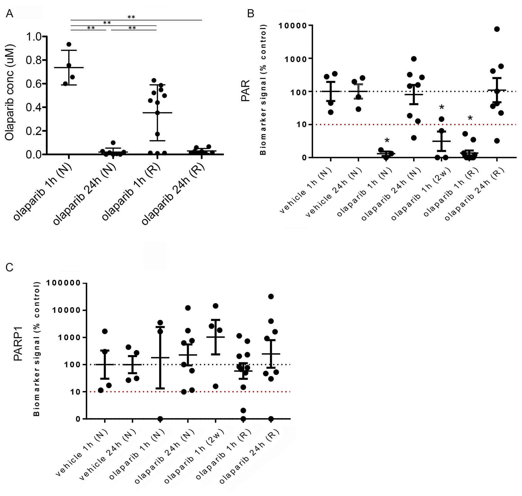 Reduced olaparib concentration in olaparib-resistant tumours does not correlate with increased PAR levels.