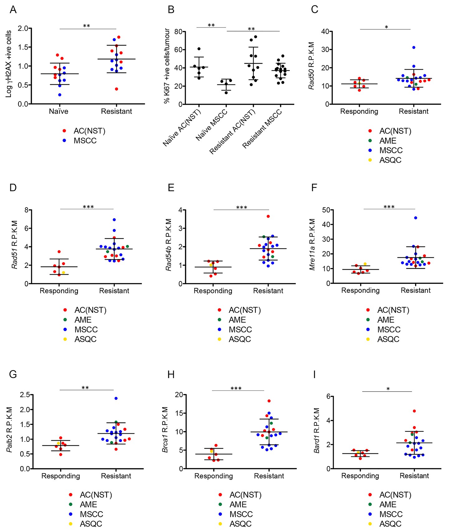 Olaparib-resistant tumours have DNA damage and show elevated expression of HR-associated genes.