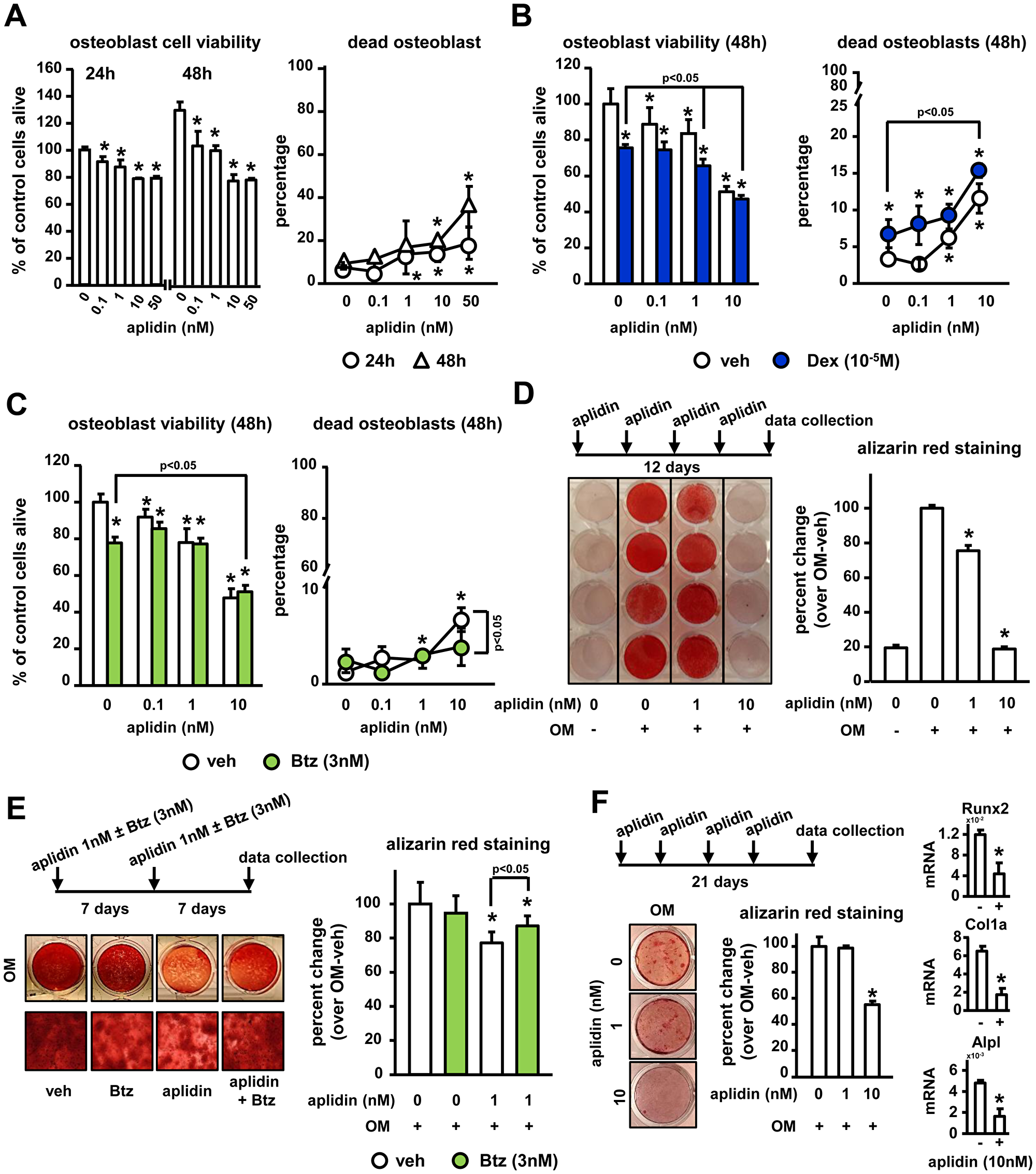 Aplidin decreases osteoblast viability and function and co-administration of Btz partially prevents these effects.
