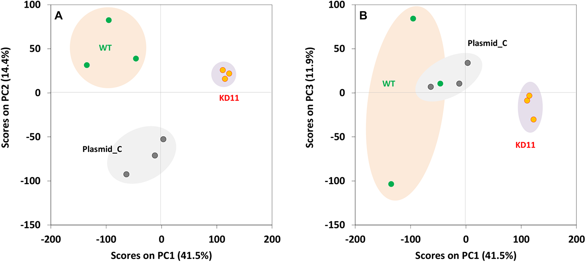 Principal component analysis of WT, Plasmid C, and KD11 samples.