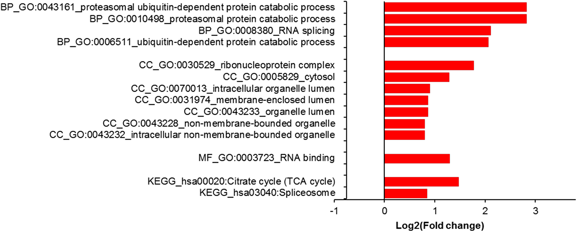 Gene ontology (GO) analysis using DAVID (https://david.ncifcrf.gov/).