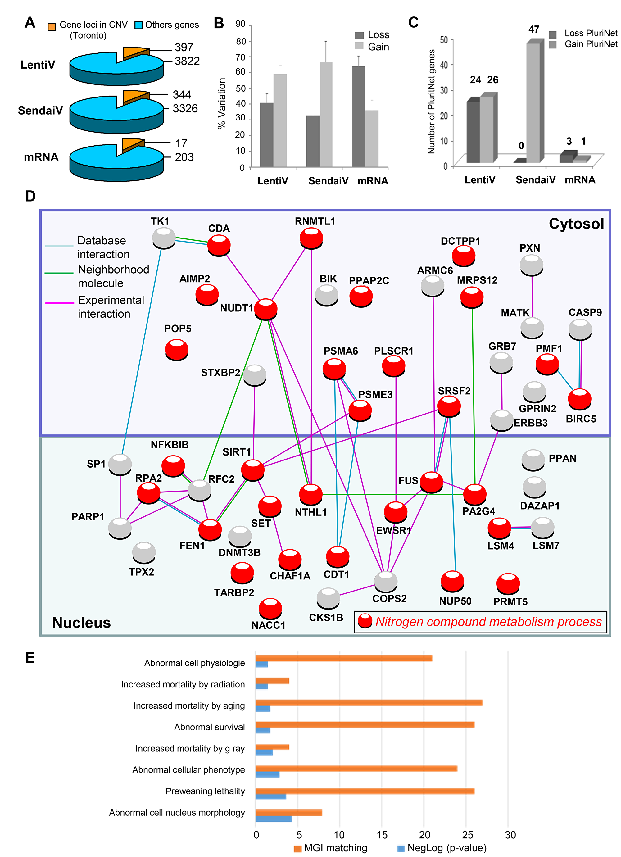 PluriNet and Mammalian phenotype analysis performed on genomic alterations of integrative hiPSCs.