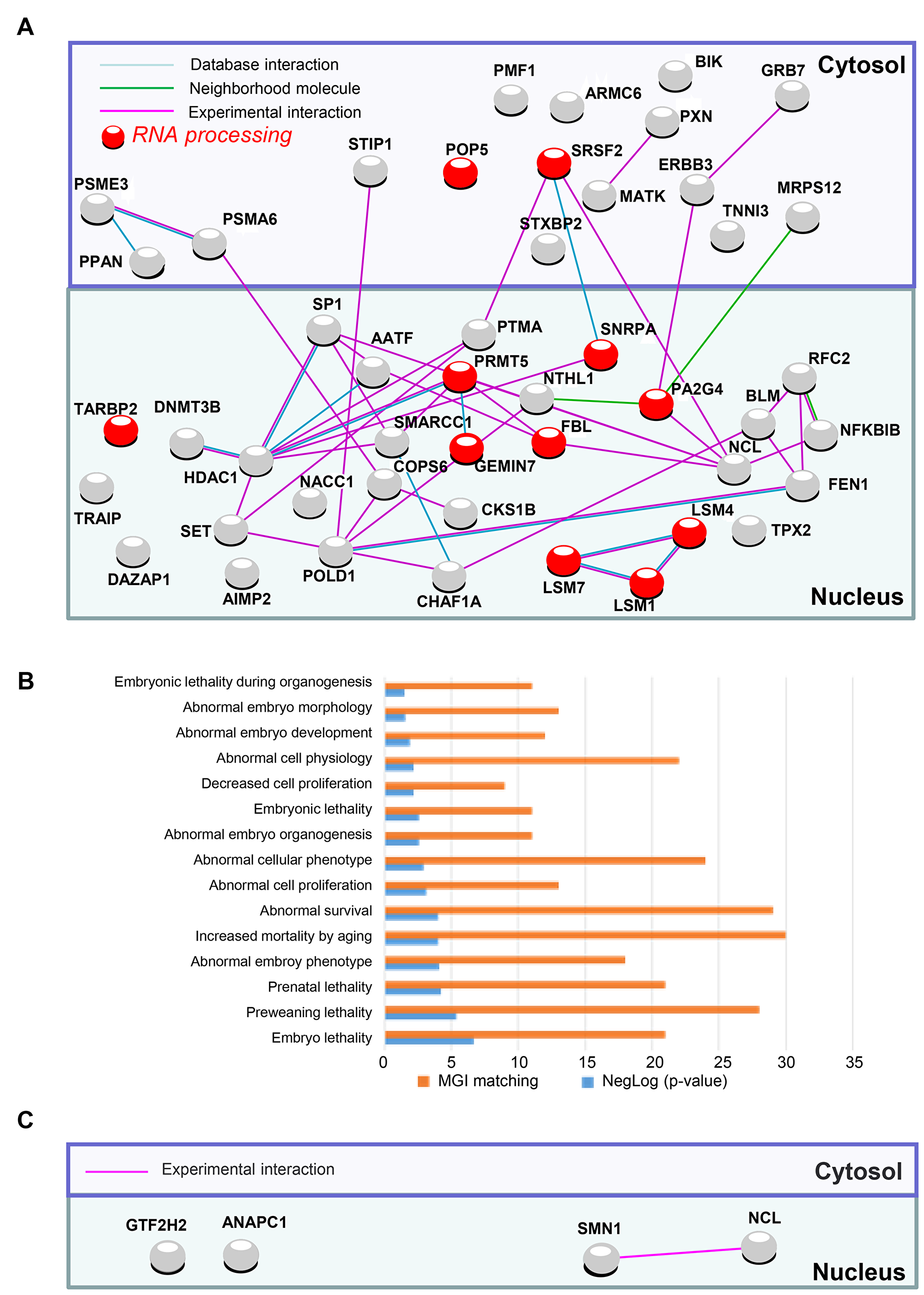 PluriNet and Mammalian phenotype analysis performed on genomic alterations of non-integrative hiPSCs.