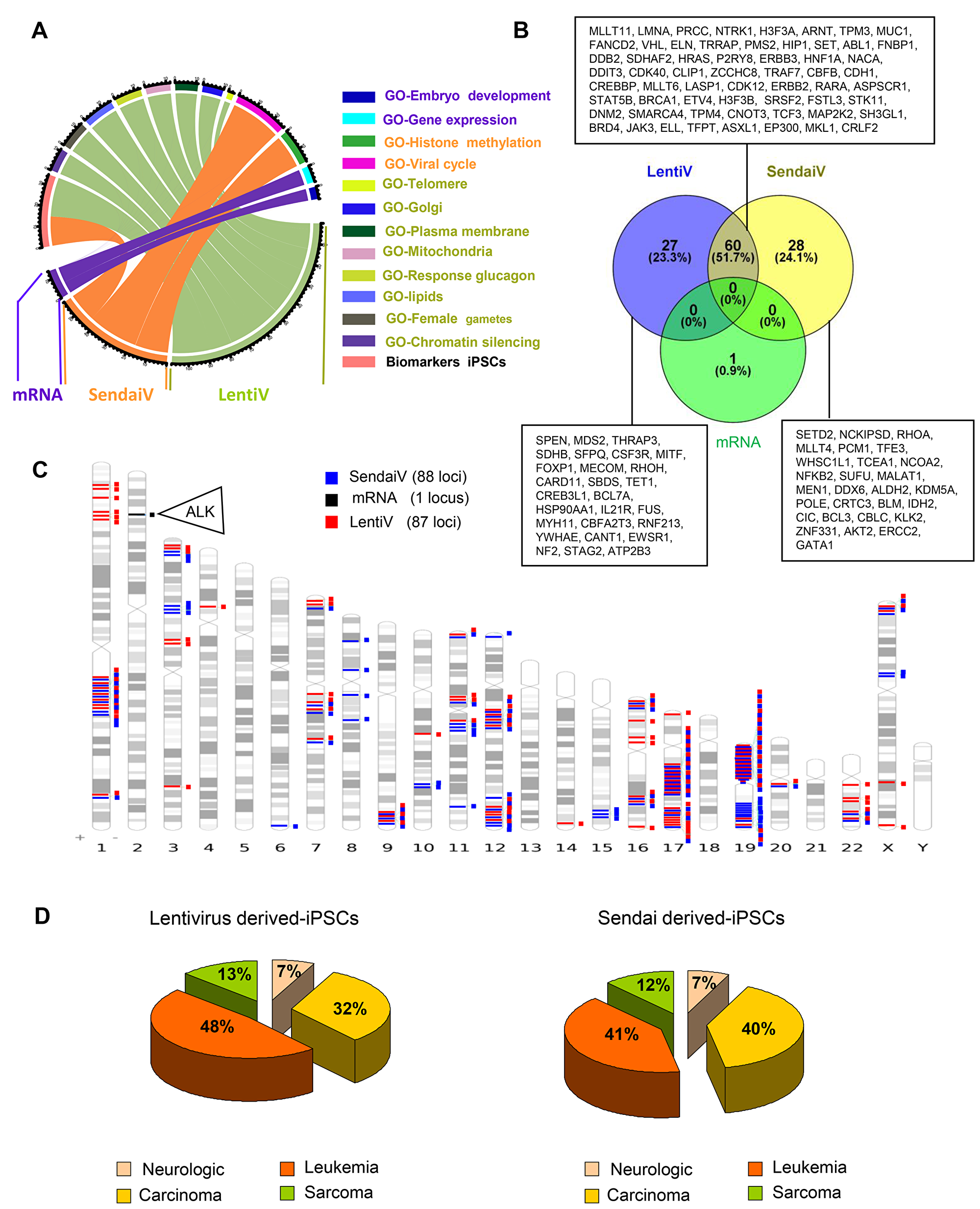 Cancer related gene locus found to be altered by aCGH in hiPSCs cells.