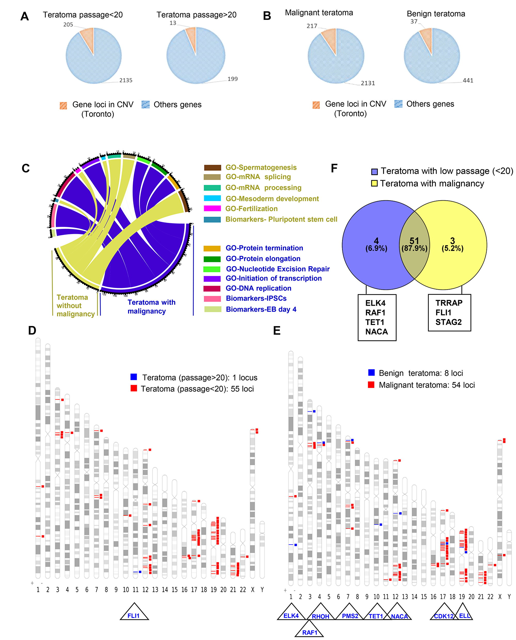 Passage number integration analysis of cancer related gene loci found to be altered by aCGH in teratomas.