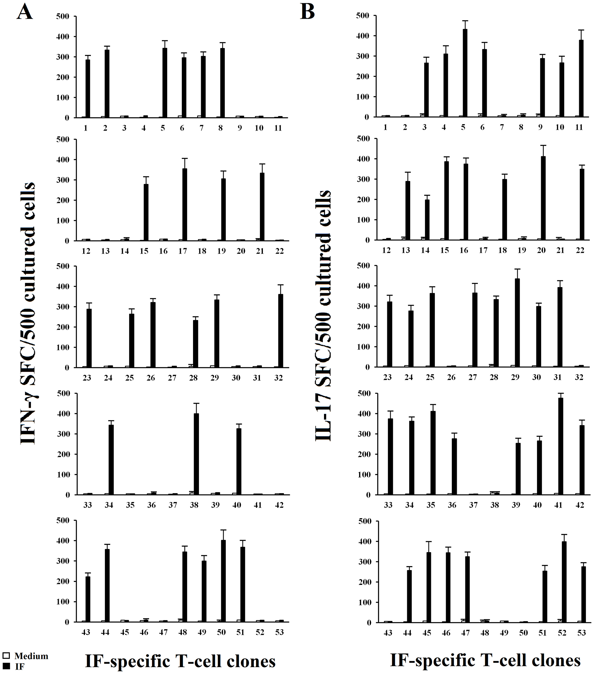 IF driven IFN-γ and IL-17 secretion by IF-specific gastric derived Th clones from PA patients.