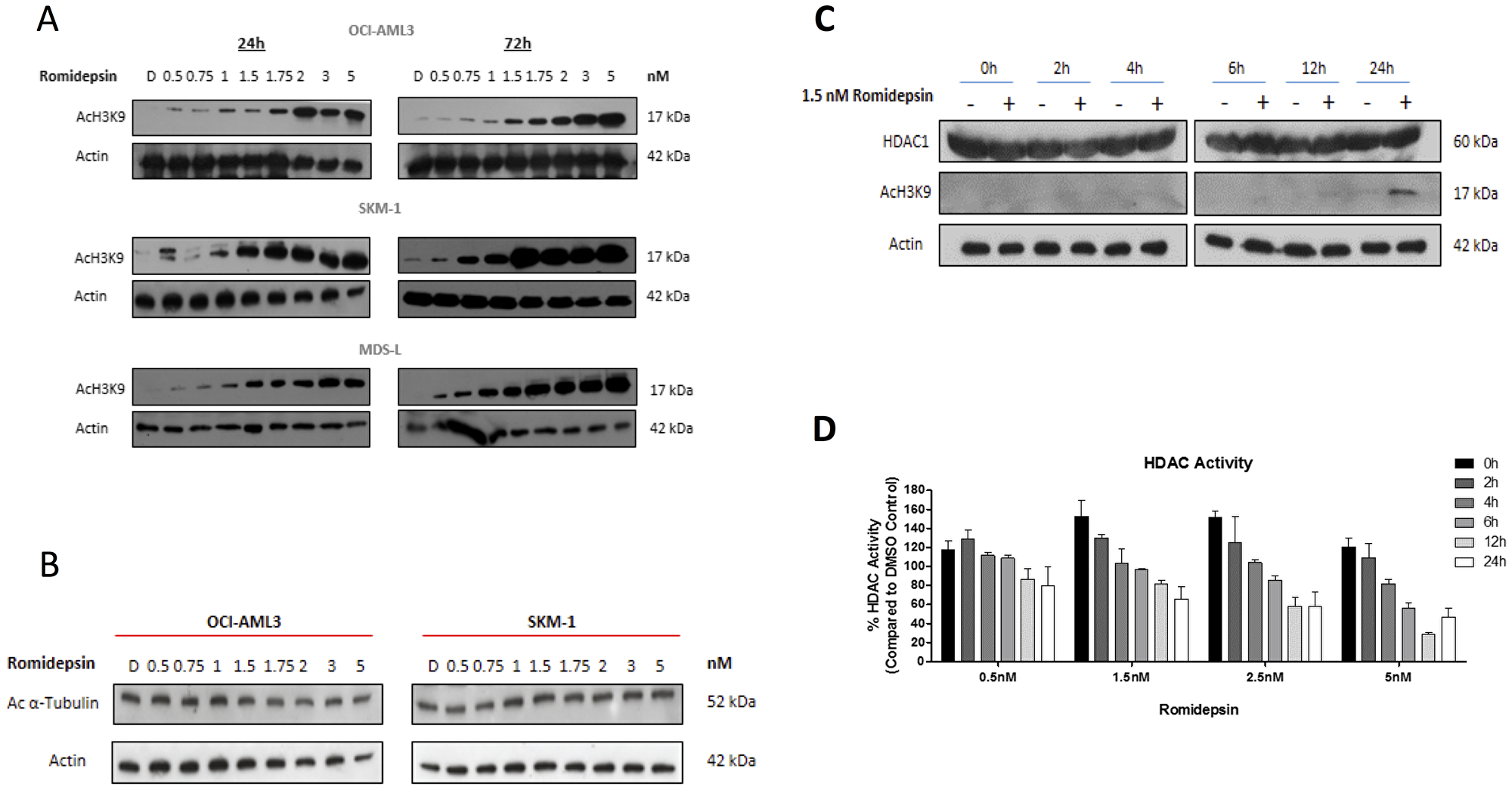 Romidepsin effects histone and protein acetylation.