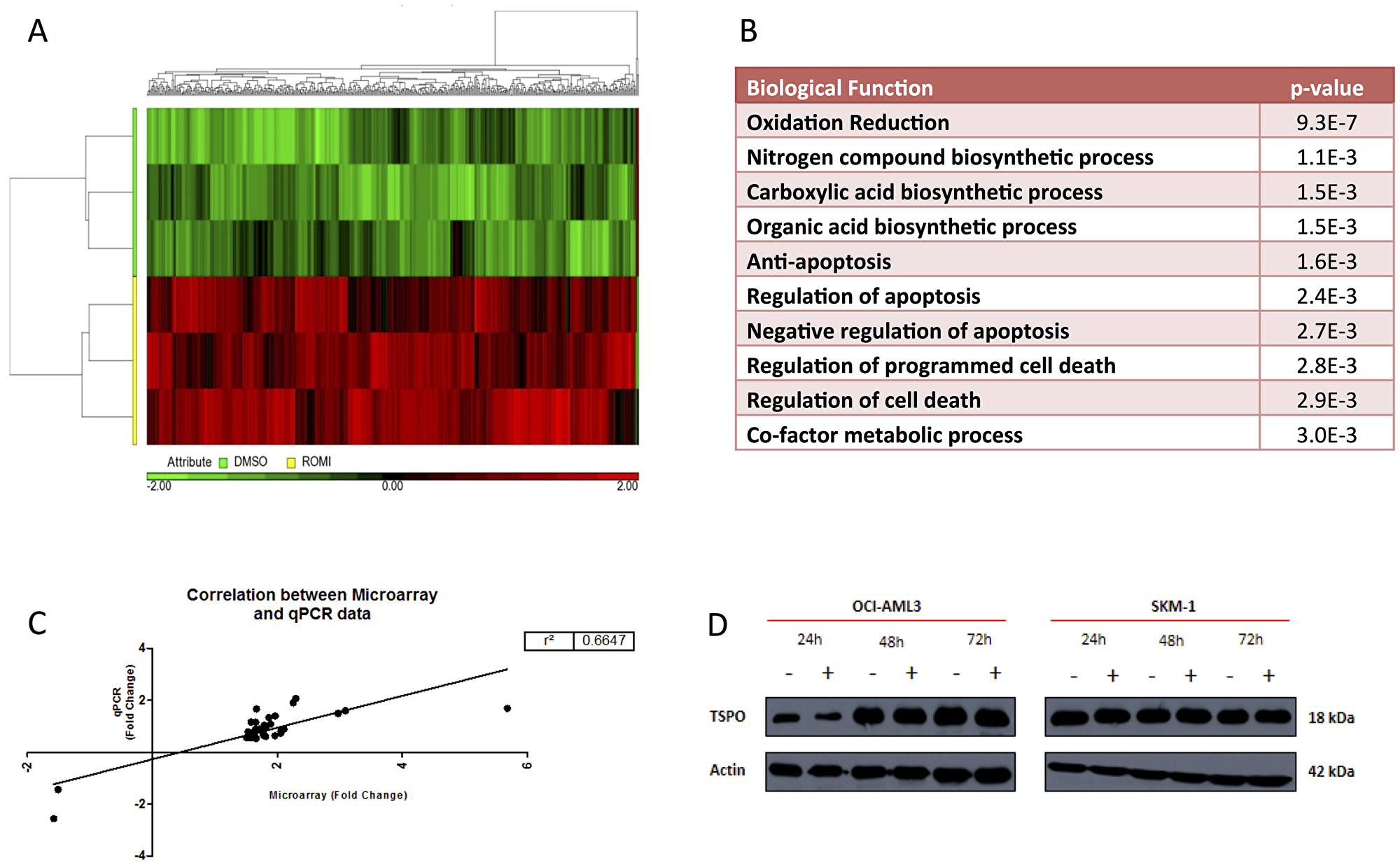 Unsupervised hierarchical clustering heat-map of 487 differentially expressed probe-sets between DMSO and Romidepsin treated samples in SKM-1 cells.