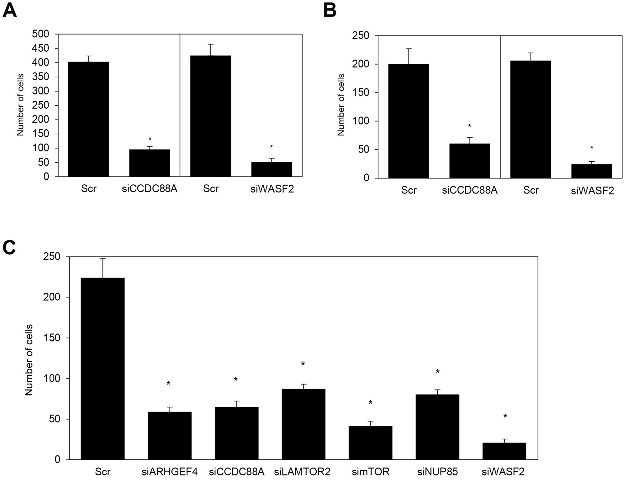 Knockdown effect of the target siRNA-FA-PEG-COL nanoparticles on cell motility and invasion in vitro.