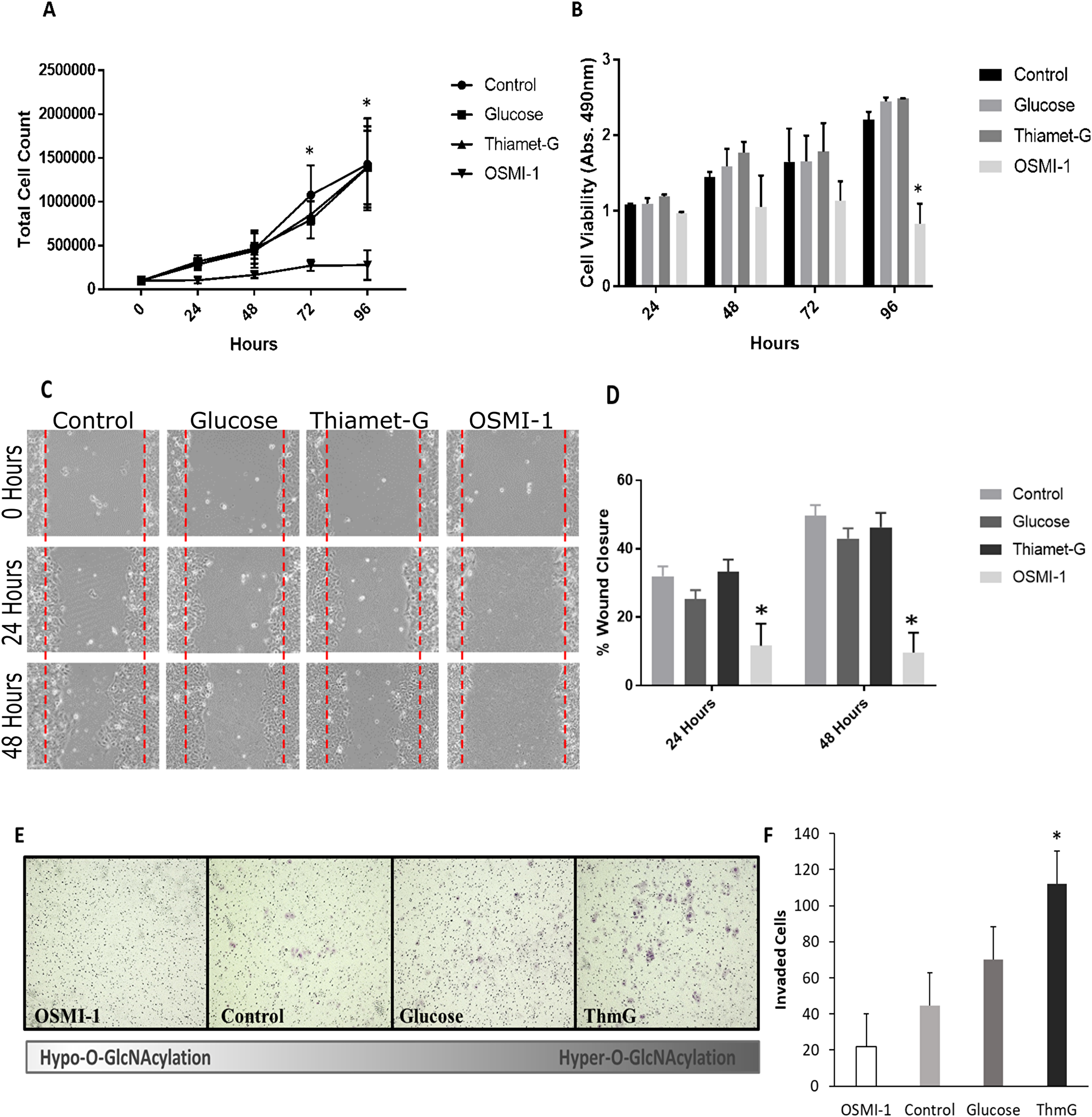 O-GlcNAcylation is necessary for Ishikawa cell proliferation and migration.