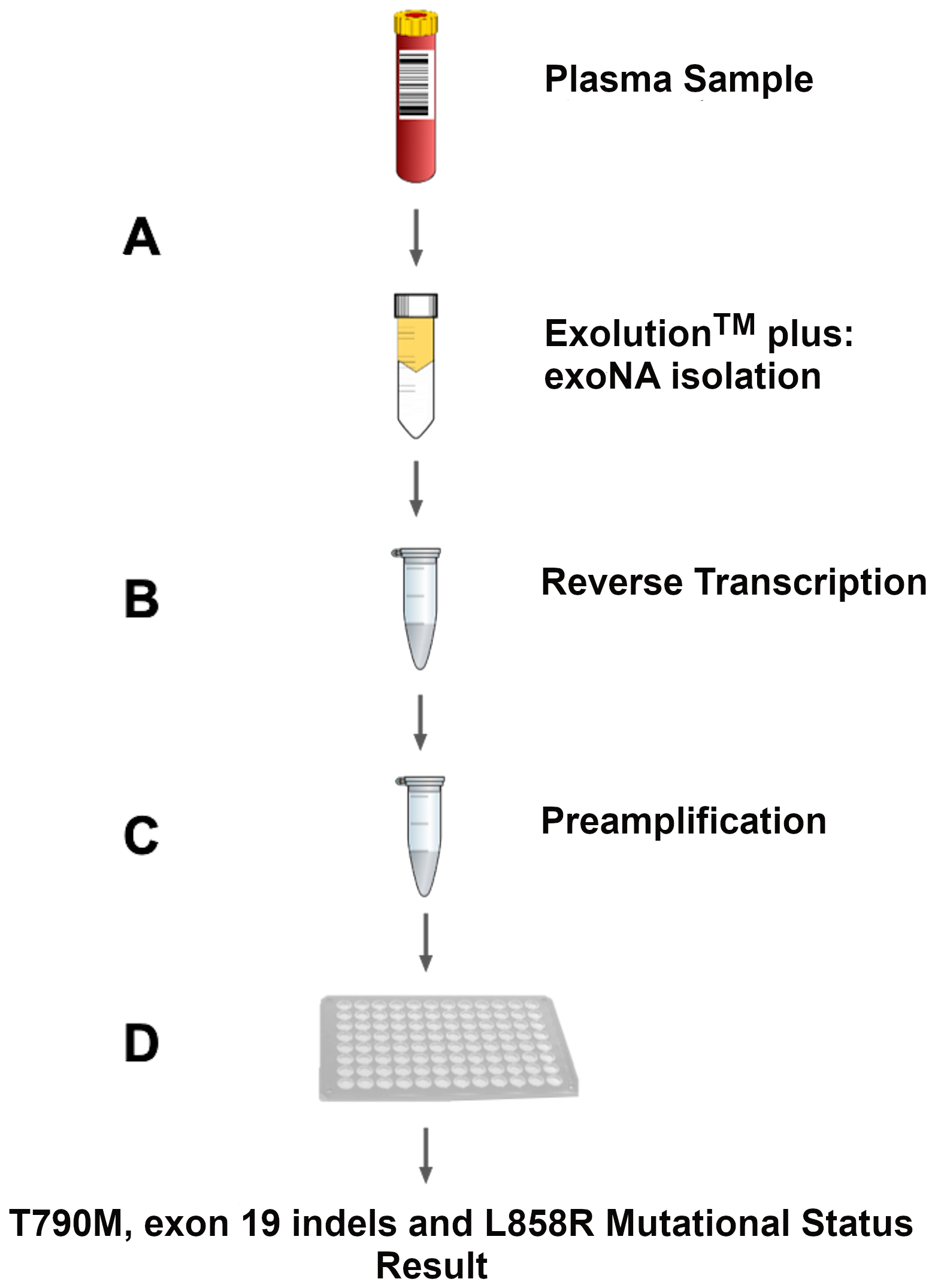 Assay workflow overview.