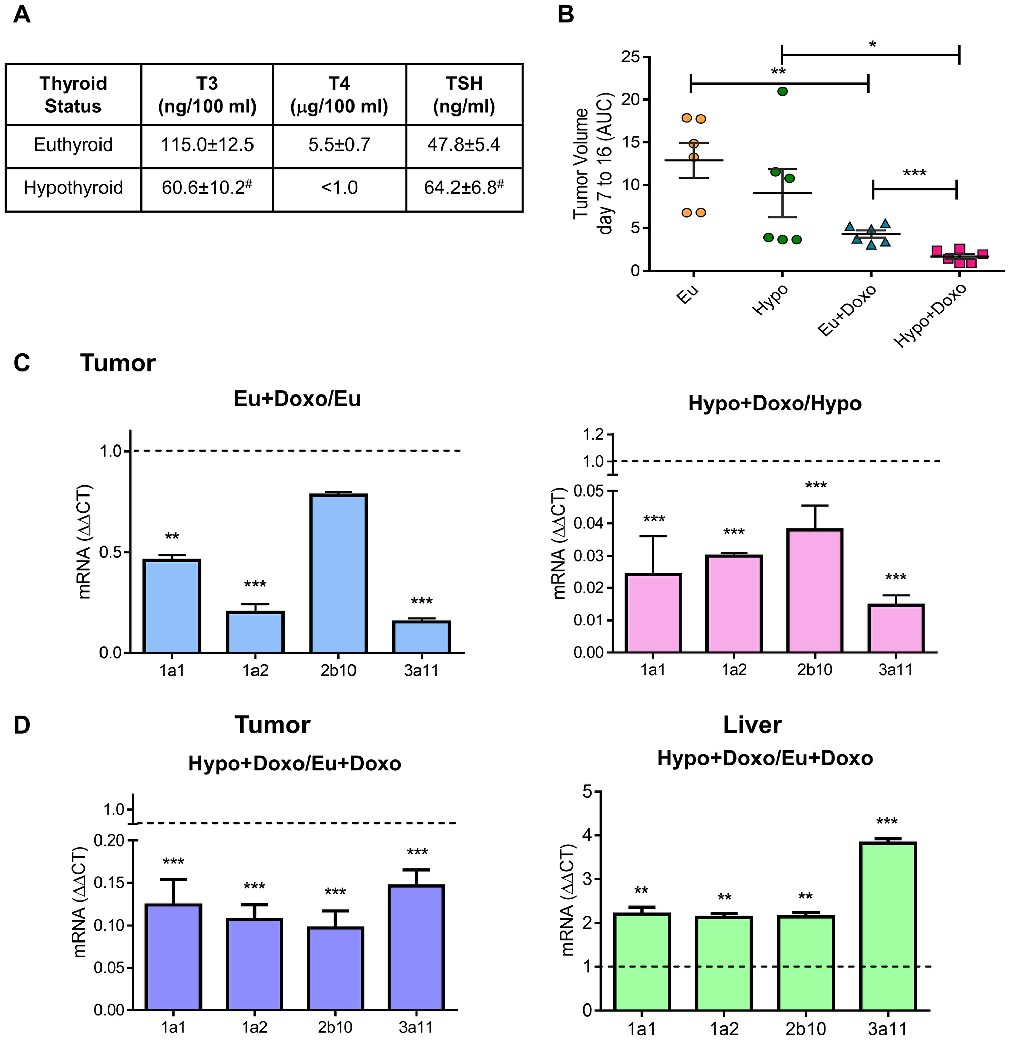 Effect of thyroid status on murine cytochrome P450 expression and tumor response to chemotherapy.